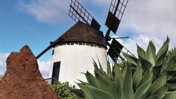 Typische Windmühle auf den Kanaren
