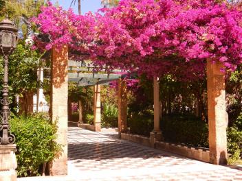 Blumendurchgang in Cadiz